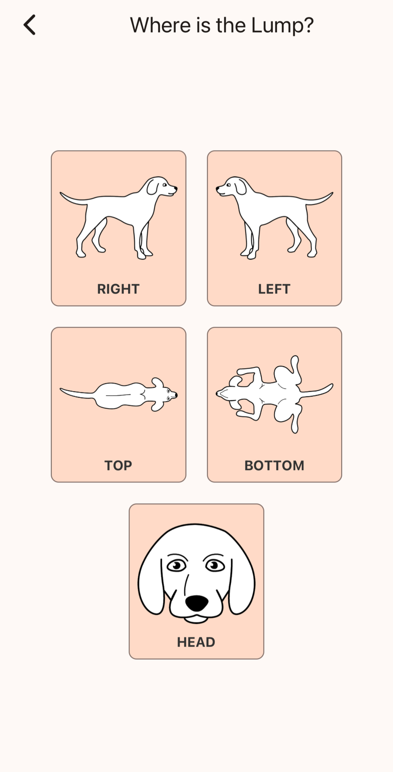 Pet Lump Tracker screenshot 1